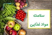 الگوی سالم تغذیه در ایام تعطیلات نوروز